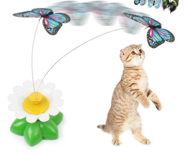 Cat playing with electric rotating butterfly flower toy