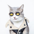 Load image into Gallery viewer, Cat wearing round sunglasses with steaming chicken leg designs on the lenses and a black and cream shearling jacket
