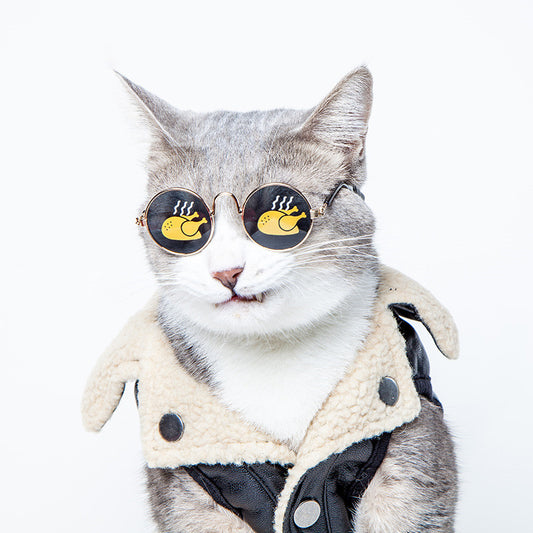 Cat wearing round sunglasses with steaming chicken leg designs on the lenses and a black and cream shearling jacket