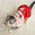 Load image into Gallery viewer, Puppy cat clothes anti-hair fall and winter clothes to keep warm

