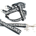Cargar la imagen en la vista de la galería, Black harness and leash combination with bold white NICENICENICE lettering and metal hardware
