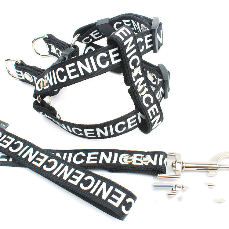Black harness and leash combination with bold white NICENICENICE lettering and metal hardware