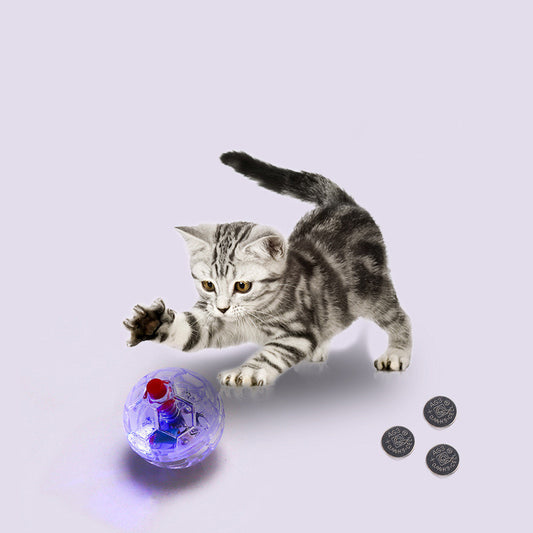 Gray striped kitten with glowing transparent plastic ball cat toy and small batteries on soft light background