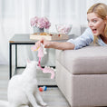Load image into Gallery viewer, Person engaging a white cat with a pink plush dinosaur cat toy on a beige couch
