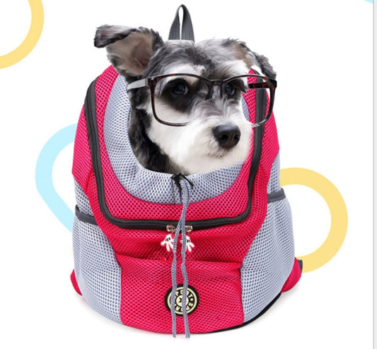 Small dog wearing glasses in red breathable pet carrier backpack