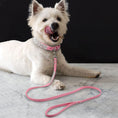 Load image into Gallery viewer, White dog wearing pink crystal-embellished collar and matching leash lying on marble surface
