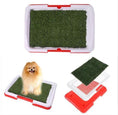Cargar la imagen en la vista de la galería, 3 Layers Large Dog Pet Potty Training Pee Pad
