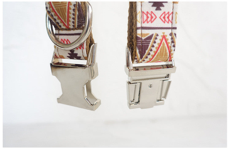 Close-up detail of metal buckle clasp on dog collar