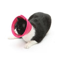 Load image into Gallery viewer, Dog Cat Anti-bite Collar Pet Medical Recovery Collars Transparent Pets Protection Cover Elizabethan Collar Circle For Pet Supplies
