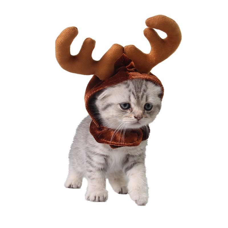 Kitten posing in plush reindeer hat with large soft brown antlers