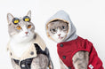 Load image into Gallery viewer, Two cats sitting side-by-side; one wearing chicken leg sunglasses and a shearling jacket, the other wearing cartoon eye glasses and a red hooded jacket
