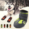 Cargar la imagen en la vista de la galería, Husky dog laying in snow wearing orange and black non-slip dog shoes
