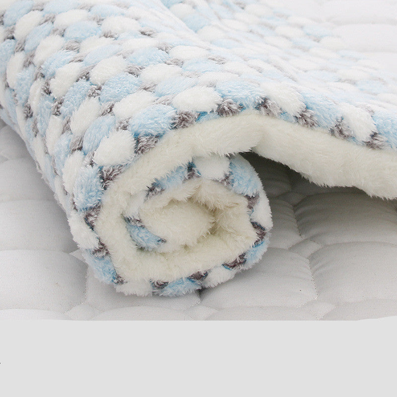 Rolled plush pet blanket with blue and white bubble pattern and soft fleece inside