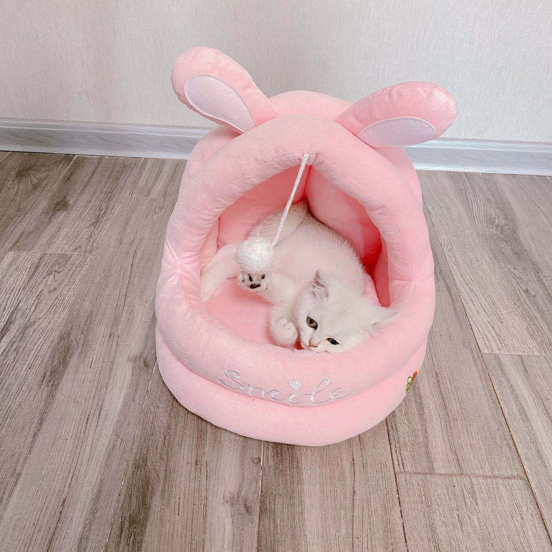 Arena para perros y gatos