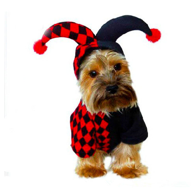 Small dog wearing the jester pet costume with black and red checkered pattern and hood with pompom tips
