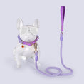 Load image into Gallery viewer, Cotton Rope Woven Leather Pet Leash Collar Set Medium Large Dog Walking
