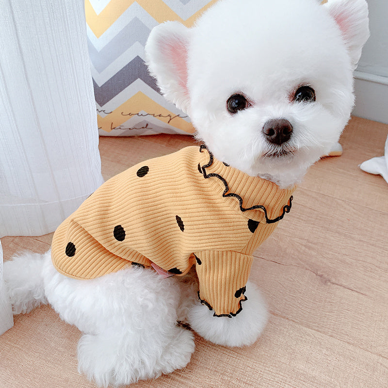 Small white dog wearing yellow ribbed turtleneck shirt with black polka dots and ruffled collar sitting beside window