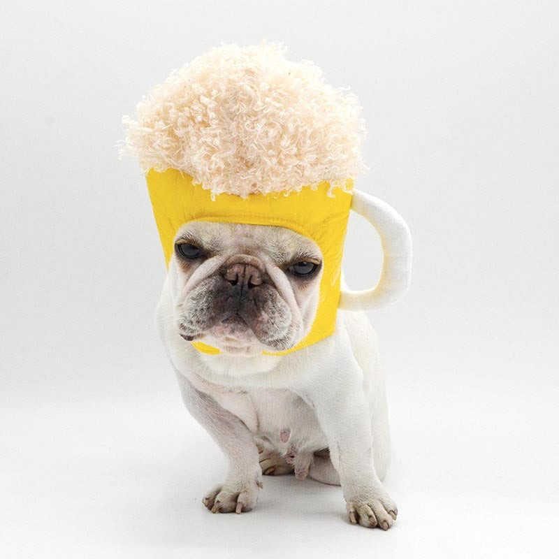 White dog sitting wearing yellow beer mug hat with plush foam top, no accessories