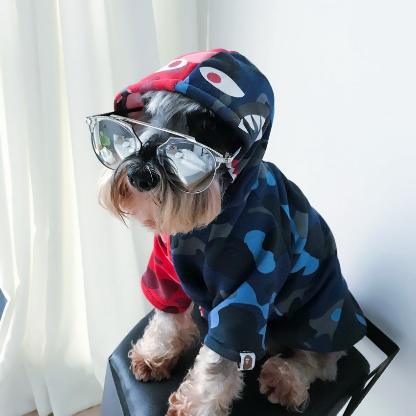 Small dog wearing a camo hoodie with graphic eyes and teeth on the hood, sitting on a black stool, wearing mirrored sunglasses