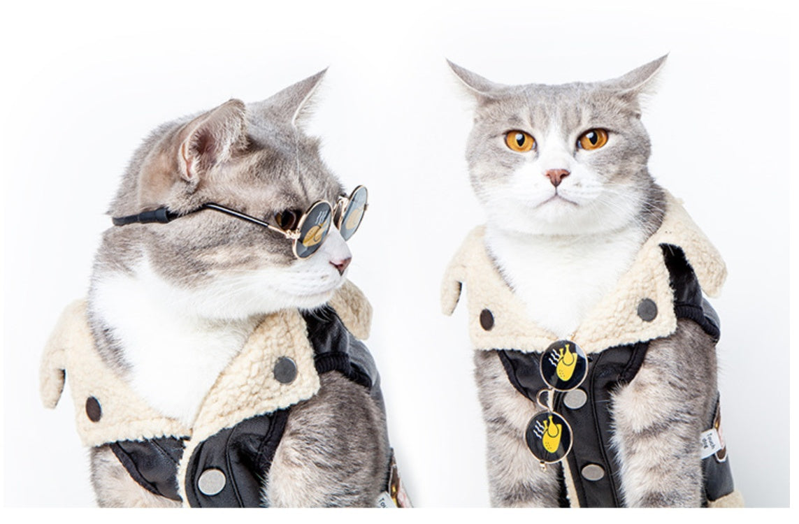 Cat wearing the chicken leg sunglasses with a shearling jacket, another cat next to it looking at the camera without glasses
