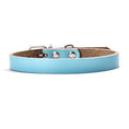 Charger l'image dans la visionneuse de la galerie, Leather dog collar dog chain
