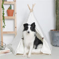 Load image into Gallery viewer, Black and white dog sitting inside a white pet teepee with cushion
