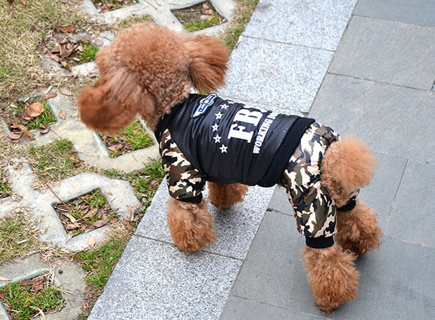 Apricot toy poodle walking outdoors on sidewalk wearing camo FBI dog jumpsuit viewed from above