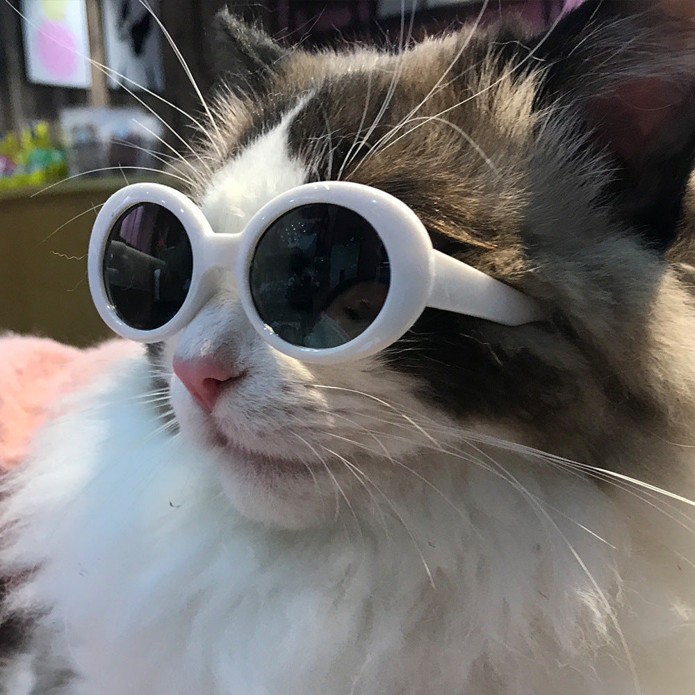 Retro frame pet sunglasses
