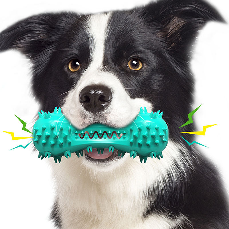 Black and white dog biting blue spiked chew toy with sound effects
