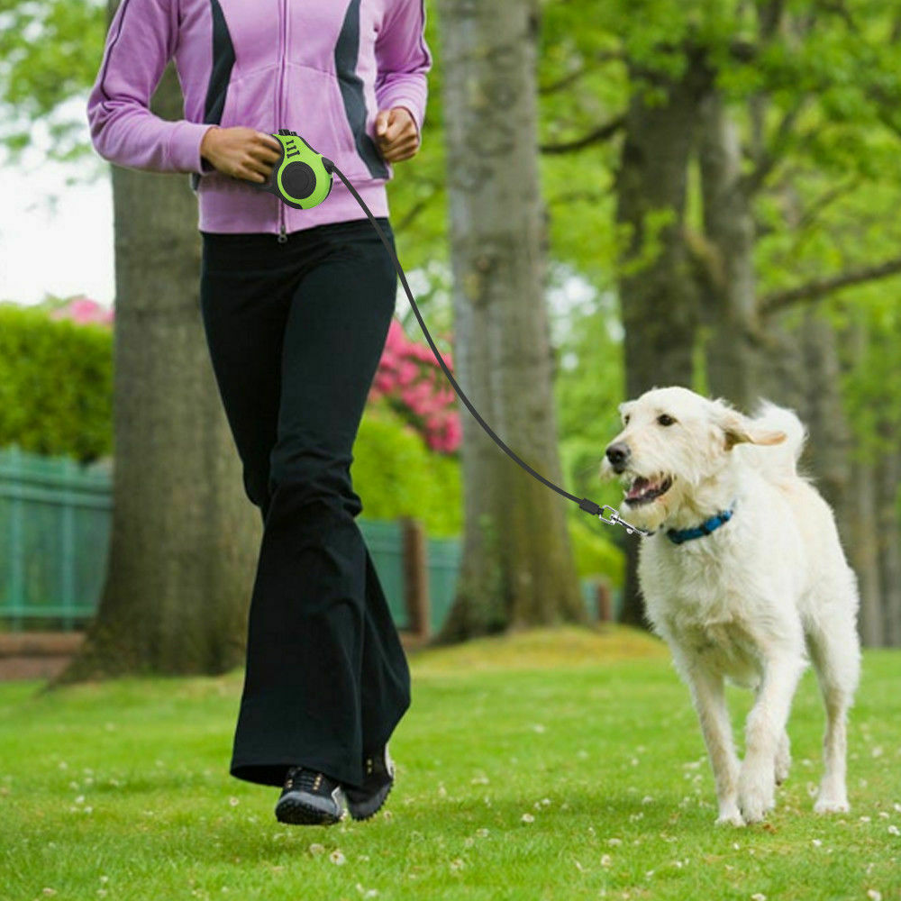Woman walking a large white dog with a green automatic retractable leash in a park setting