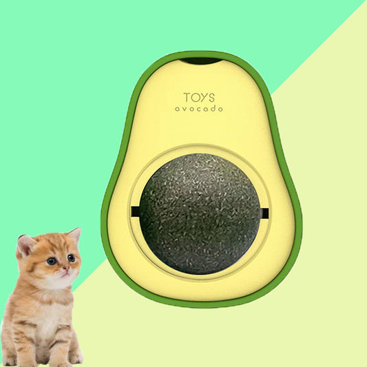 Orange and white kitten sitting near an avocado-shaped catnip toy with a rotating ball in center