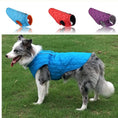 Load image into Gallery viewer, Three quilted dog jackets displayed side by side in blue, red, and purple colors with contrasting inner linings
