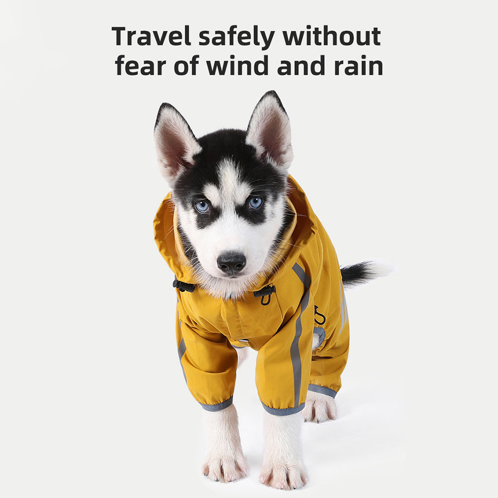 Front view of husky puppy wearing yellow raincoat posing looking forward