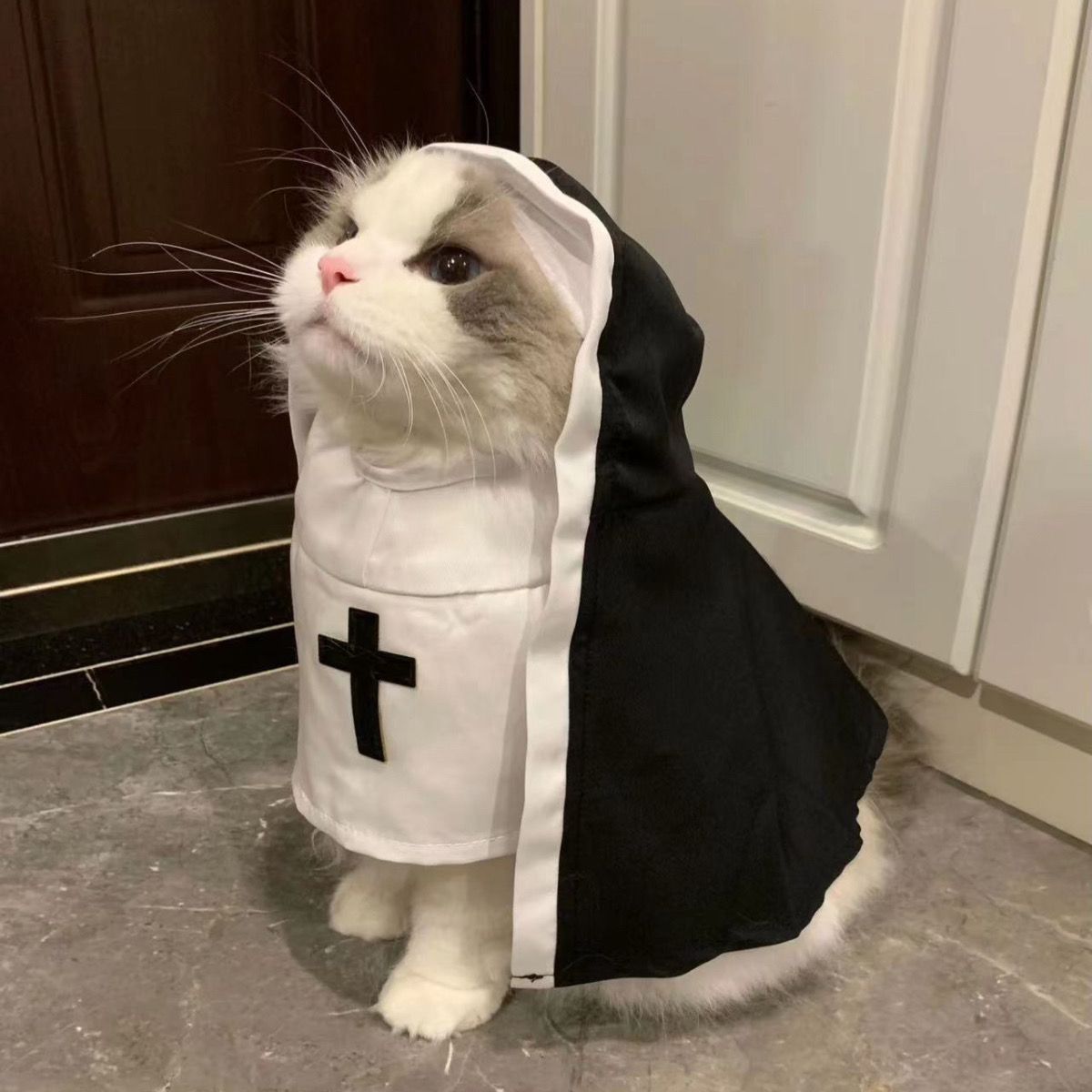 White and grey cat wearing black and white nun costume with black cross, sitting indoors
