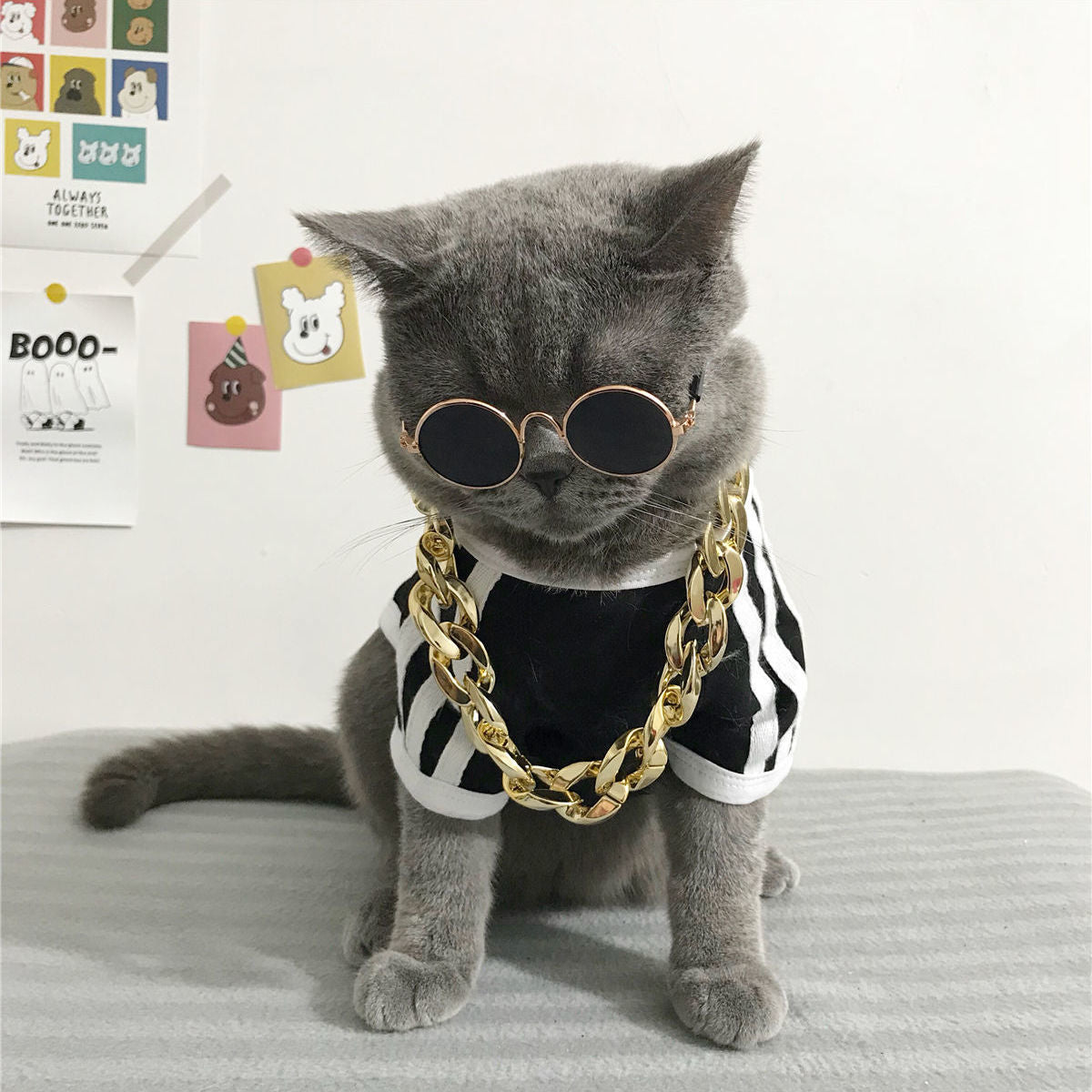 Gray cat wearing sunglasses, black and white shirt, and big gold plastic chain necklace