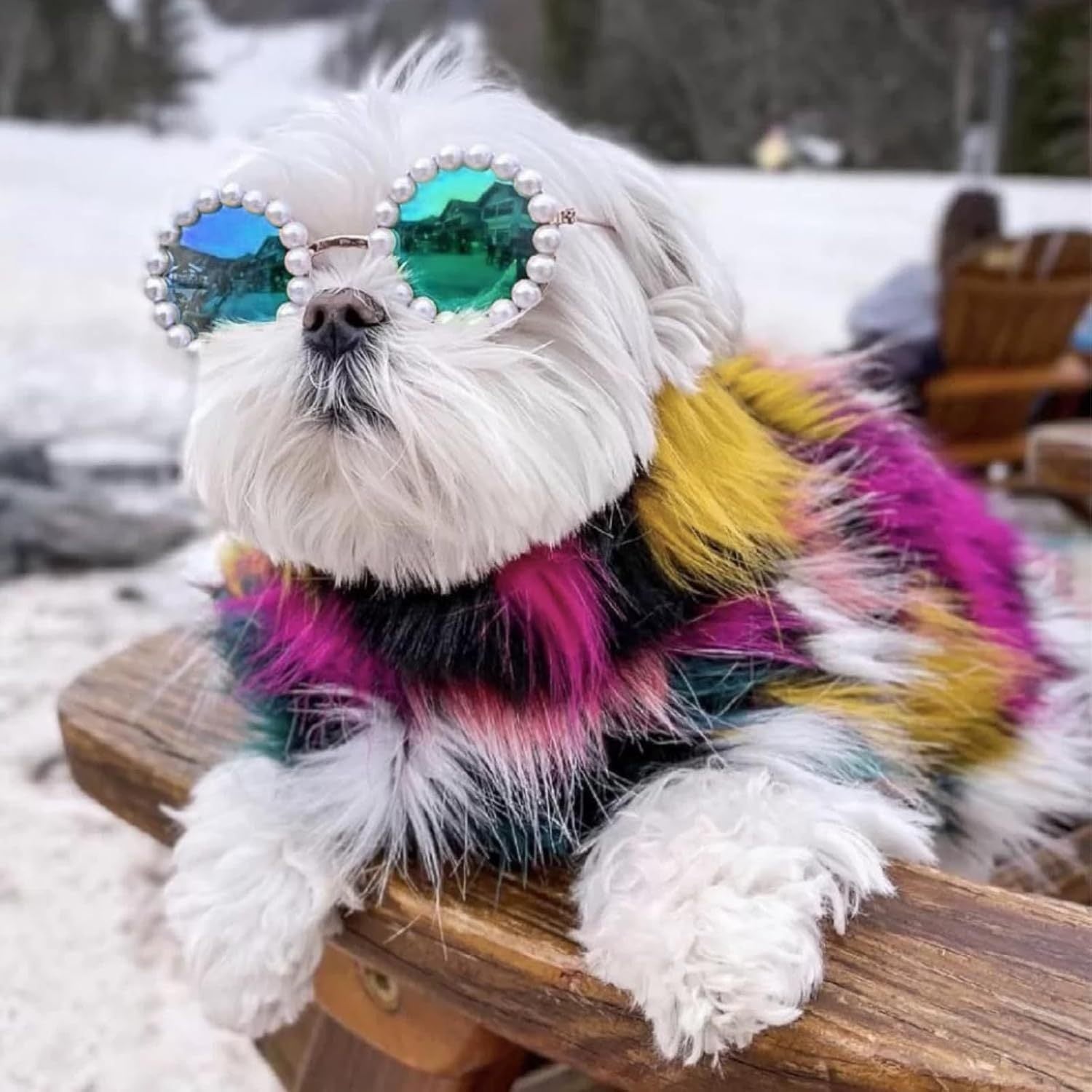 Cat And Dog Pearl Party Sunglasses
