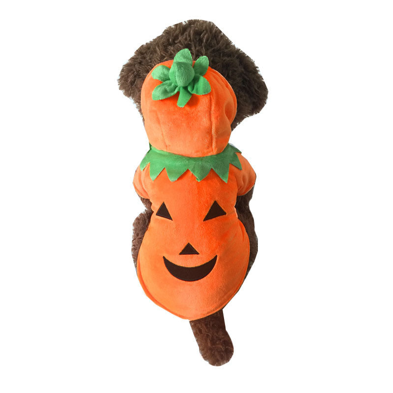 Back view of a small dog dressed in an orange pumpkin costume with green leaf detail around the hood, showing the smiling jack-o-lantern face