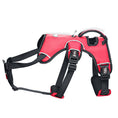 Load image into Gallery viewer, Dog leash collar
