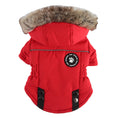 Charger l'image dans la visionneuse de la galerie, Back view of red insulated dog vest with faux fur hood and elastic side stitching
