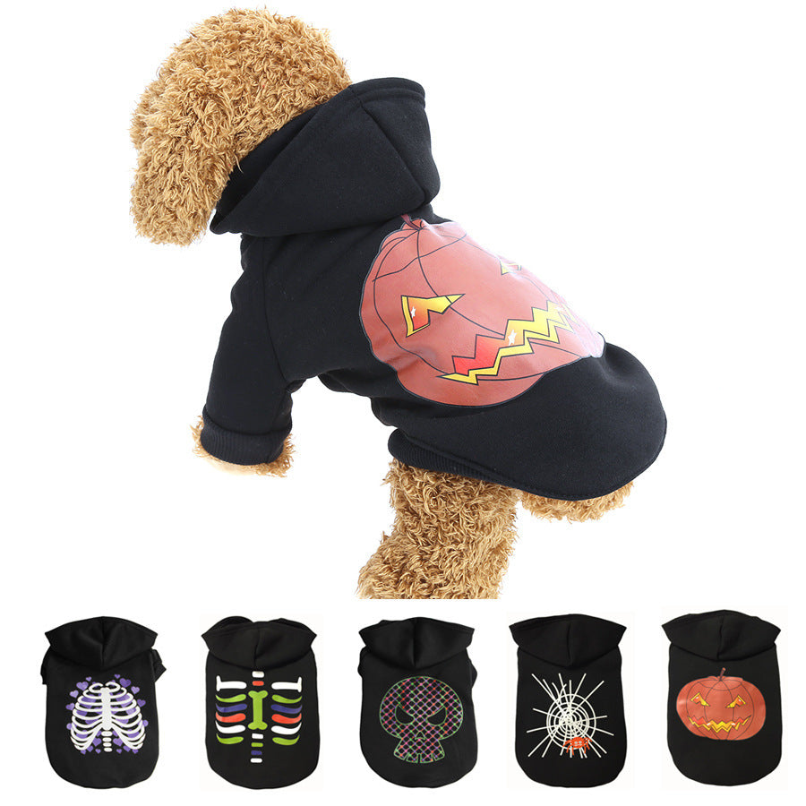 Brown curly dog wearing black Halloween hoodie with orange jack-o-lantern print on back and hood