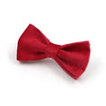 Cargar la imagen en la vista de la galería, Collage of red velvet pet collar set including collar, bow tie, leash, and pouch with gold details
