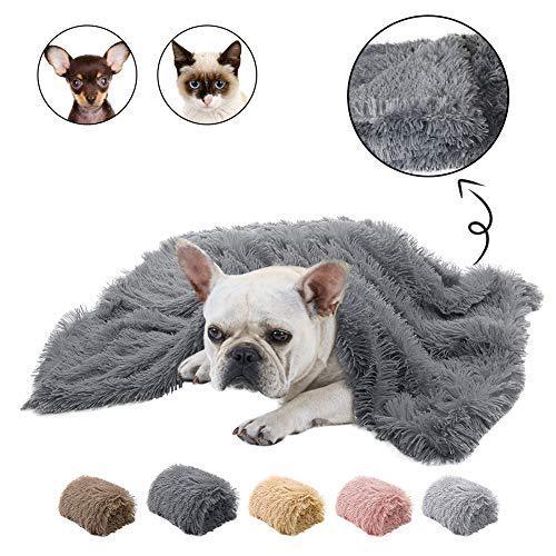 Dark gray plush pet blanket with a dog laying underneath and small images of cat and dog