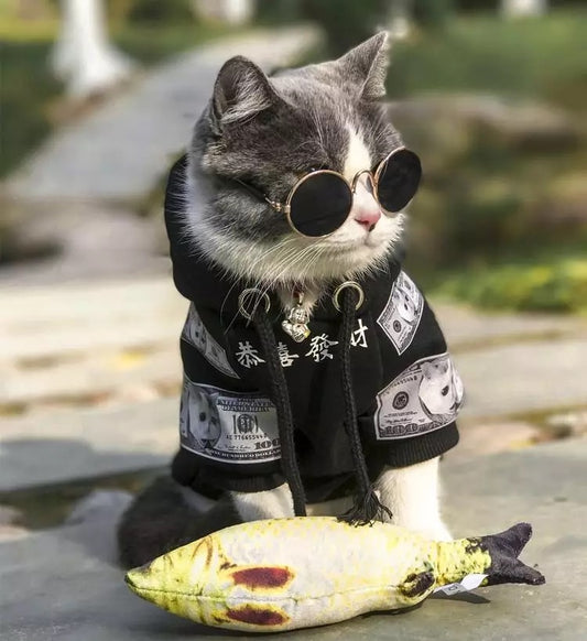 Gray and white cat wearing black cotton fleece pet hoodie with money print and round sunglasses holding a yellow toy fish