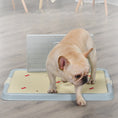 Cargar la imagen en la vista de la galería, Dog Toilet Puppy Dog Supplies Teddy Dog Urinal Potty Golden Hair Puppies
