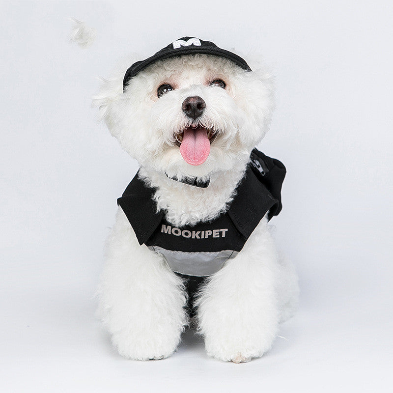 White fluffy dog wearing a black embroidered baseball cap with letter M