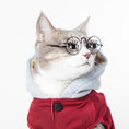 Load image into Gallery viewer, Cat wearing black round glasses with large cartoon eyes printed on the lenses and a red hooded outfit
