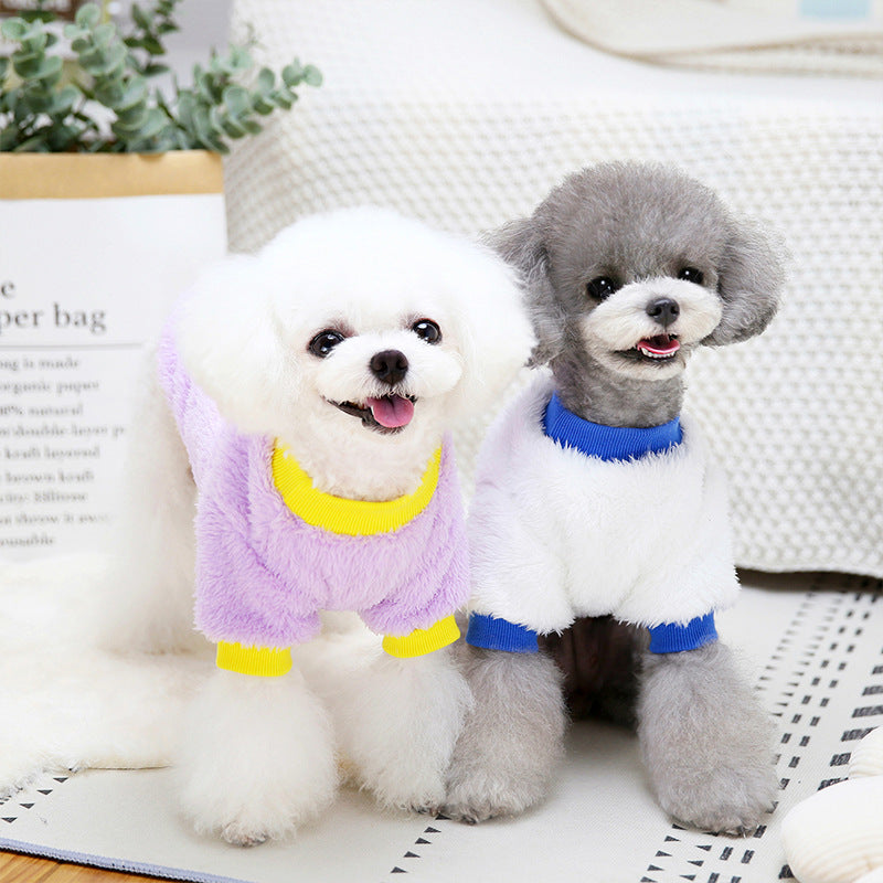 Two small dogs facing forward smiling, dressed in Arizona fleece jumpers in white with blue trim and lavender with yellow trim