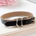 Charger l'image dans la visionneuse de la galerie, Leather dog collar dog chain
