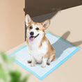 Load image into Gallery viewer, Pet Hygiene Absorbent Dog Pad

