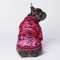 Load image into Gallery viewer, Hot pink zebra dog jacket
